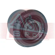 ����������� �������� ������ ASVA 0501-B2500U 0501B2500U ����