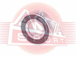 ��������� ������������� (12x28x08) ASVA AB122808 AB122808 ����
