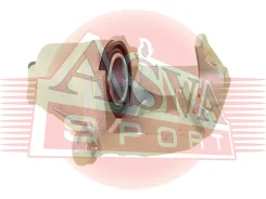 ������� ��������� ������ ����� ASVA TYBC-013 TYBC013 ����