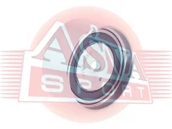 ����� �������� ASVA TYBP-053 TYBP053 ����