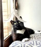 �����. ����