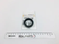 ������� ��������� �������� (NS) NOK ���. AH2041E0 AH2041E0 ����