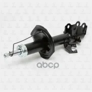����������� �������� ����� (NS) TORR ���. DV1124L DV1124L ����