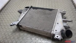 �������� ����������� Nissan X-Trail (T30) 2001-2007 21364392 14461ES60A ����