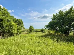 �. ������� �� (5 ��� �� ����������), 14 �����, �������� ���. 14.5����., ��� ��������������� ��������� �������������, ������, ������������� ����