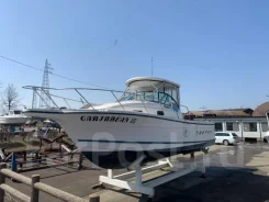 Bayliner. 1999 ���, ����� 10��., ��������� ���������, 450��.�., ������ ����