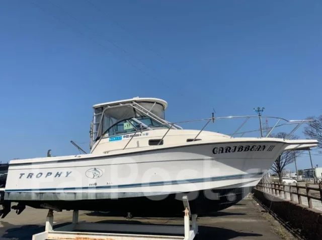 Bayliner. 1999 ���, ����� 10��., ��������� ���������, 450��.�., ������ ����