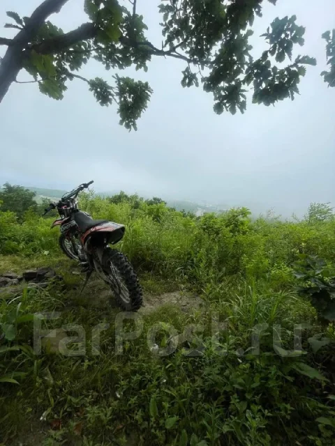 Avantis FX 250. 250����. ��., ��������, ��� ���, ������ �� �� ����