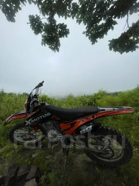 Avantis FX 250. 250����. ��., ��������, ��� ���, ������ �� �� ����