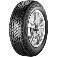 GT Radial WinterPro2