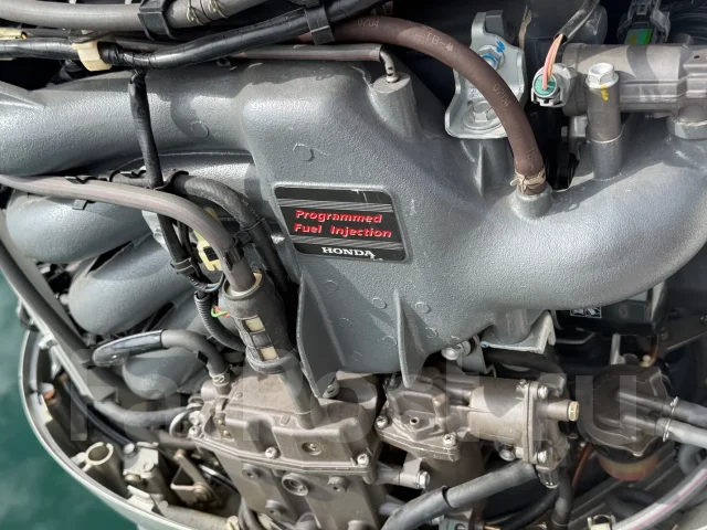 Nissan. 1996 ���, ��������� ���������, 115��.�., ������ ����