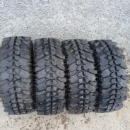 Lakesea Alligator. ����� rt, 2025 ���, �/�, ����� �� 5 % ����
