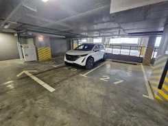 ����� �����������. . ��� ������ ����