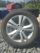 Nordman 5. ������, ����������, �/�, ����� 10 % ����