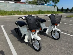 Suzuki Mollet. 50����. ��., ��������, ���������, ��� ������� ����