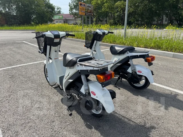 Suzuki Mollet. 50����. ��., ��������, ���������, ��� ������� ����