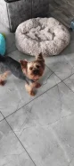 ����������� ������. ����