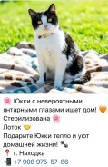 �����. ����