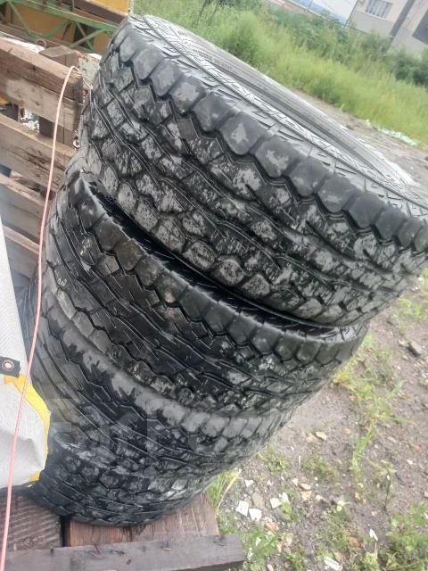 Falken. ������, 2018 ���, �/�, ����� 60 % ����
