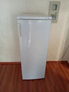 ������ �����������. ����