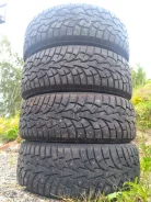 ZMax Winternova Stud I. ������, ����������, 2023 ���, �/�, ����� �� 5 % ����