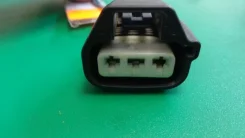 ������ 10981 10981 ����