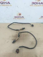������ ����������� Porsche Cayenne 2007 7L5905262D 9P M4801, ������ 7L5905262D ����