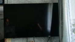 Kivi. ������ ����