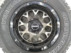 RAYS Team Daytona M9