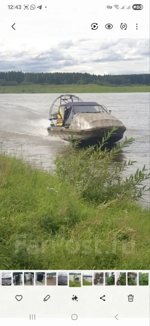 Alligator. ����� 5,9��., ��������� ������������, 200��.�., ������ ����