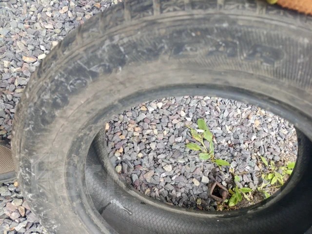 Goodyear. �����������, �/�, ����� 40 % ����