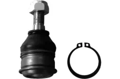 ����� ������� ����� ����/��� NGN [231157] 231157 ����