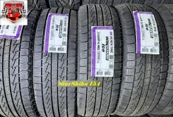 Nexen Winguard Ice