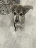 �����. ����