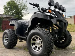 ����� ����������� Grizzly 200 ����, 2026 �/�. ����