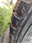 Nordman 5. ������, ��� �����, 2017 ���, �/�, ����� 20 % ����