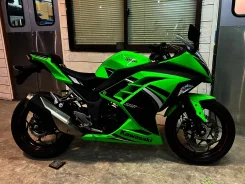 Kawasaki Ninja 250R