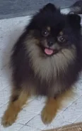 ����. ����