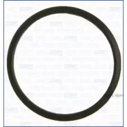 ��������� ���������� Ajusa 00520000 00520000 ����