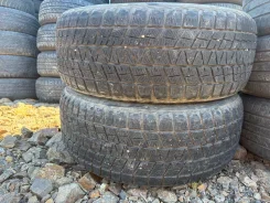 Bridgestone Blizzak DM-V1. ������, ��� �����, �/�, ����� 50 % ����