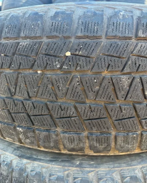 Bridgestone Blizzak DM-V1. ������, ��� �����, �/�, ����� 50 % ����