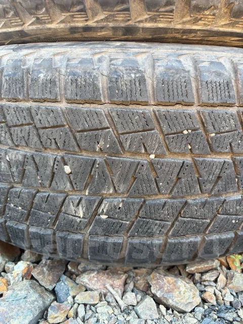 Bridgestone Blizzak DM-V1. ������, ��� �����, �/�, ����� 50 % ����