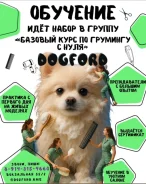 �������� �������� � ���� ����