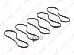 ��������� ������ ����������� �������� LYNXauto SG2096 SG2096 ����