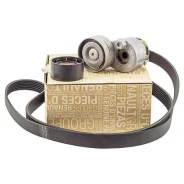 �������� ����� ���������� Renault 117209732R 117209732R ����