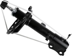 �����������| ��� ���� | Sachs 317156 317156 ����