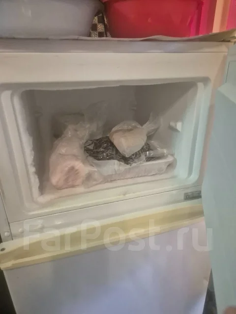 ������������. ����