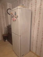 ������������. ����