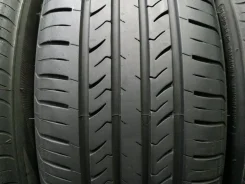 Trazano. ������, 2024 ���, �/�, ����� 5 % ����