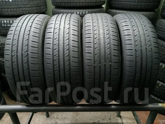 Trazano. ������, 2024 ���, �/�, ����� 5 % ����